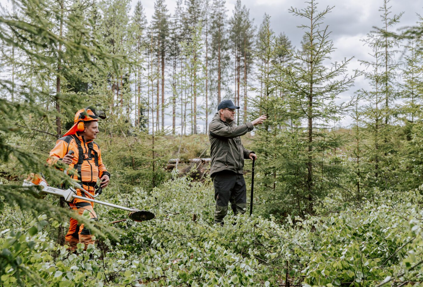5 vinkkiä metsänhoitoyrityksen perustamiseen – näin helppoa se on, kertoo yrittäjä Petri Hynönen