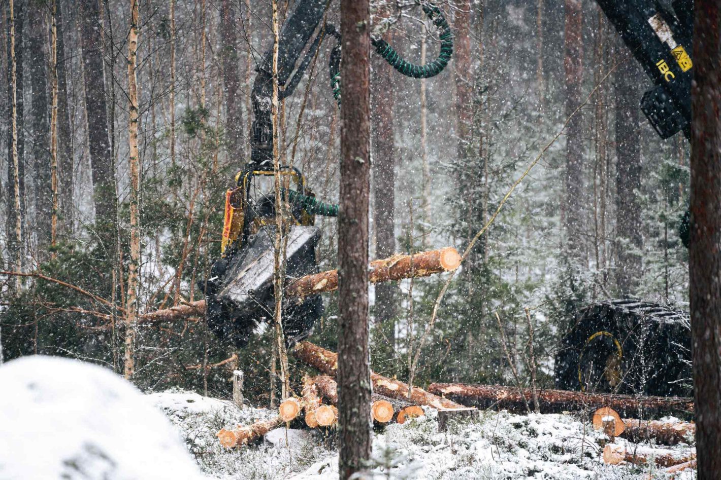 Metsäkoneenkuljettajan työn kausivaihtelut – Mitä kuljettaja tekee hiljaisina kausina? 