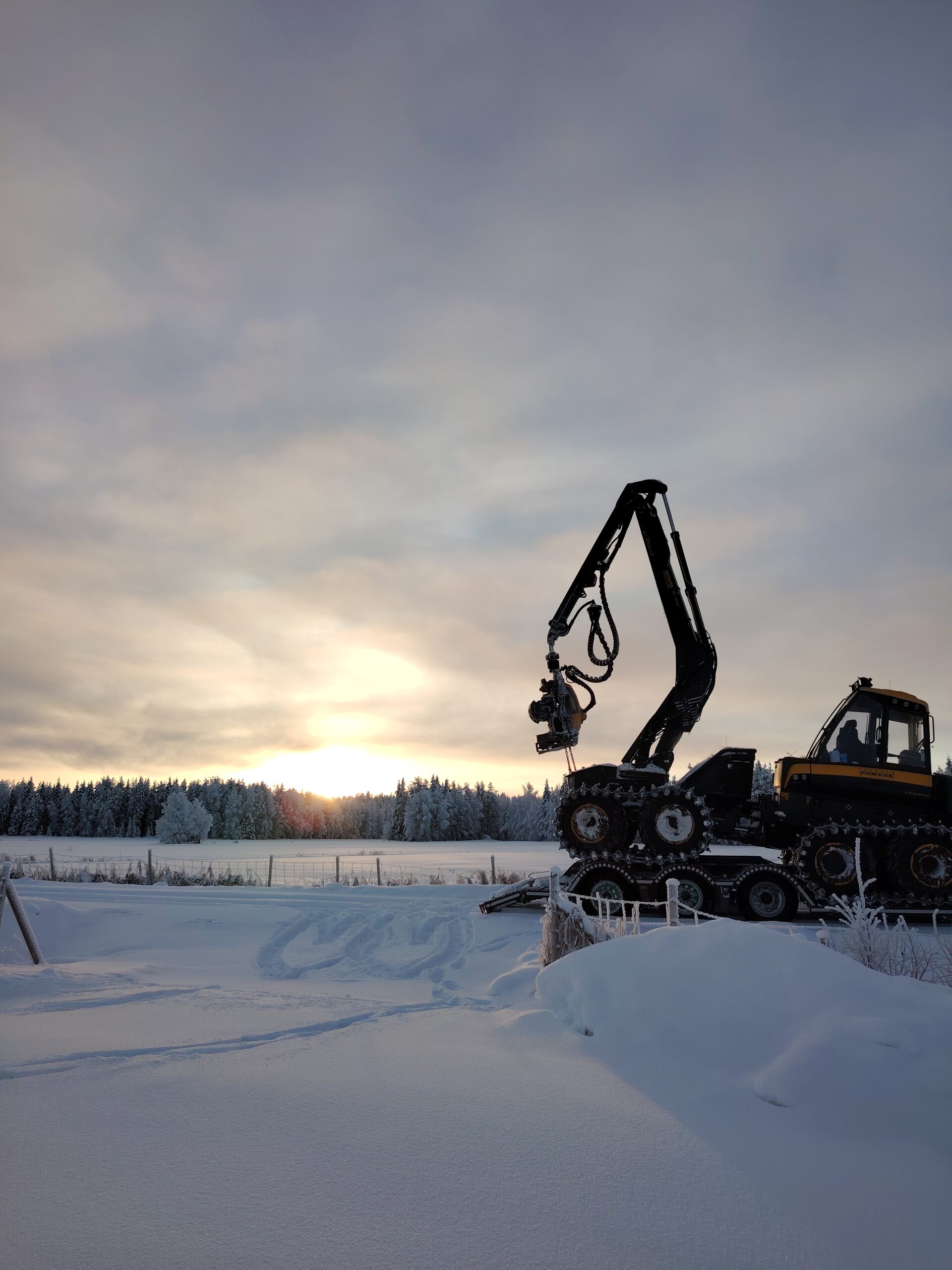 Metsätyö Palosaaret Oy